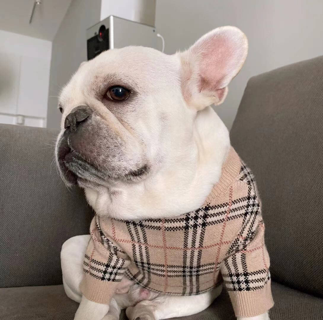 French Bulldog Beige Plaid Sweater Cardigan-Frenchiely 