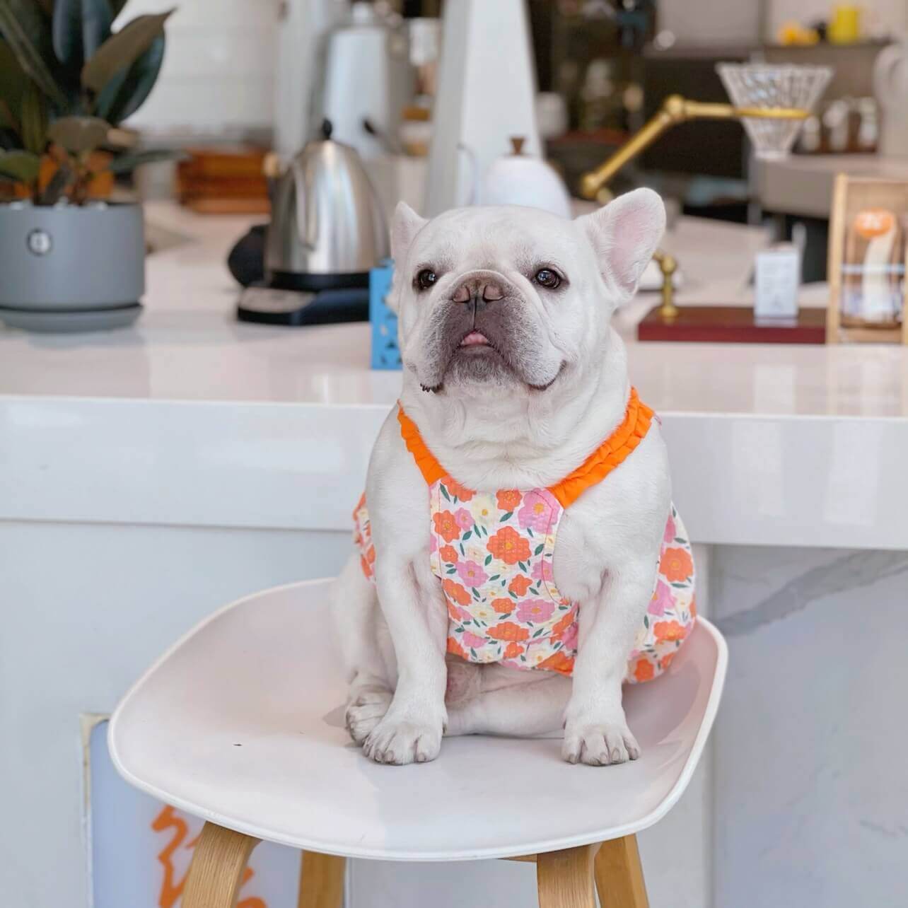 Frenchie Summer Flower Dress by Frenchiely