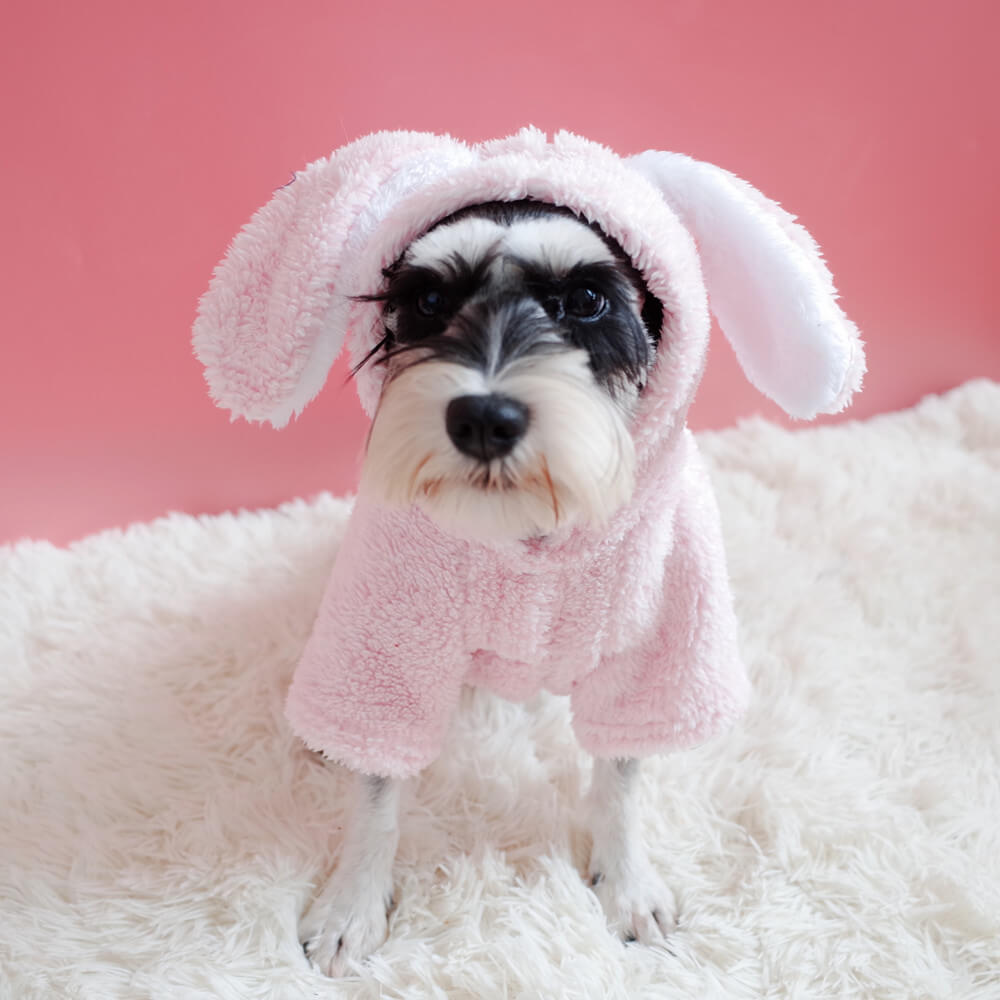 Dog Bunny Hoodie Coat - Frenchiely