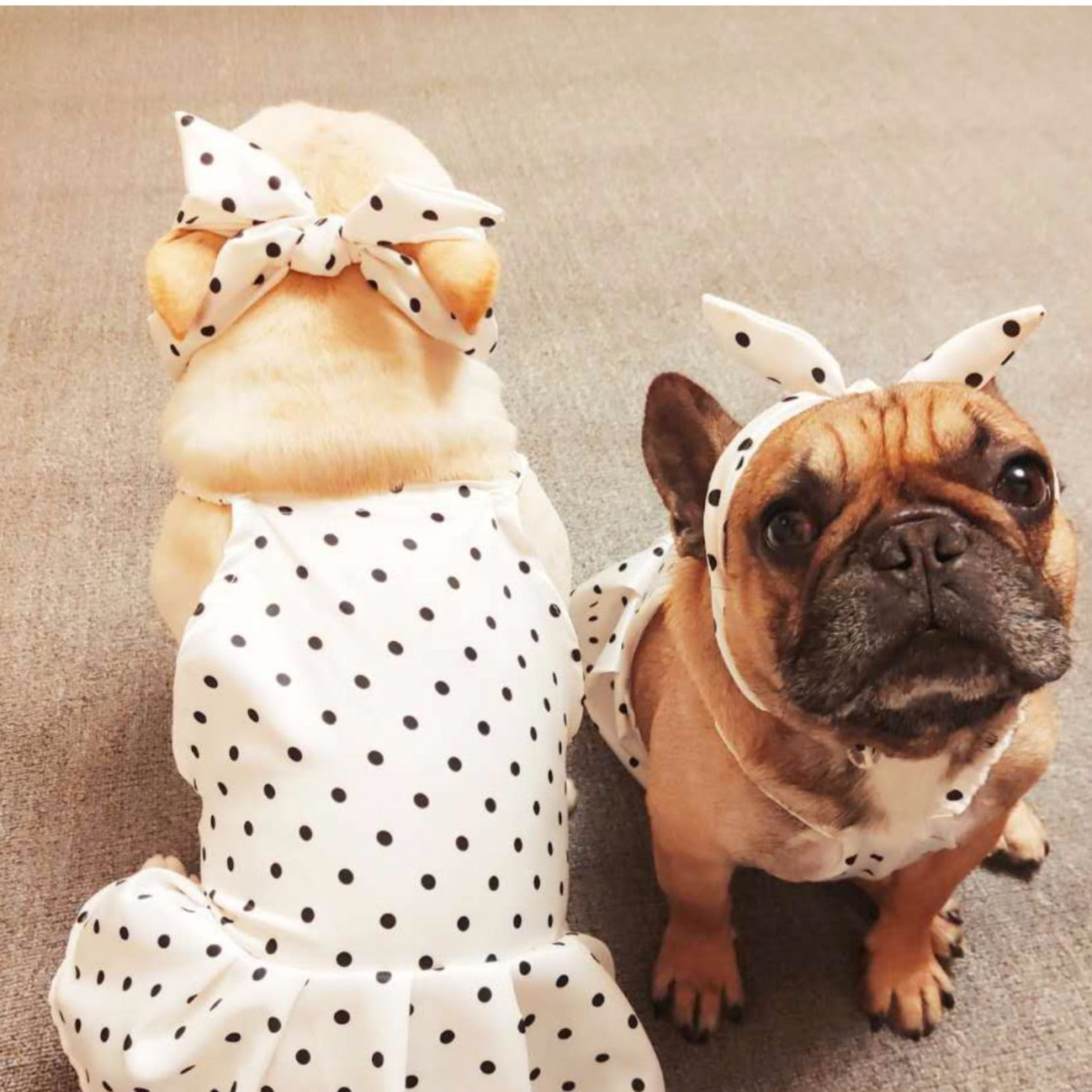 Dog White Polka Dot Dress with Headband - Frenchiely
