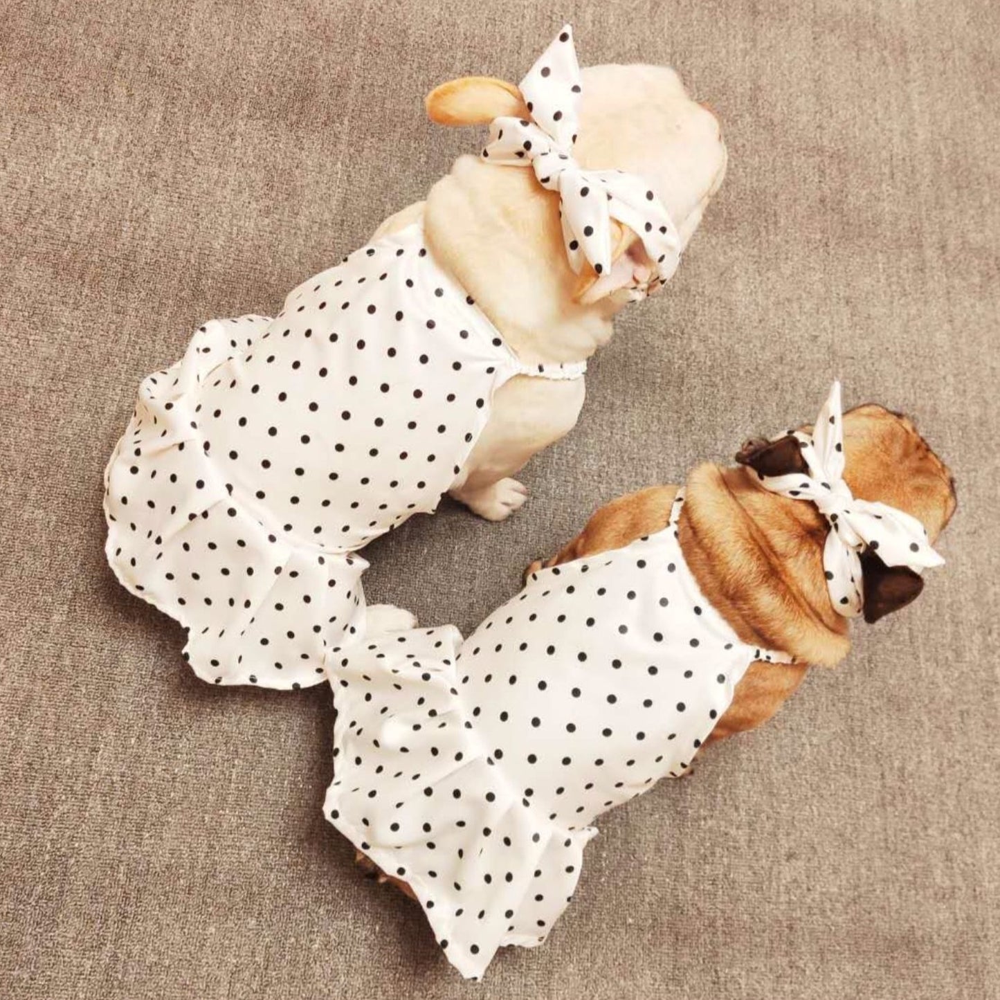Dog White Polka Dot Dress with Headband - Frenchiely