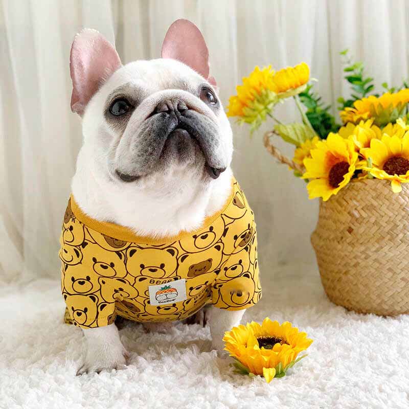 Dog Bear Pajamas FOR MEDIUM SIZED DOGS BY FRENCHIELY 