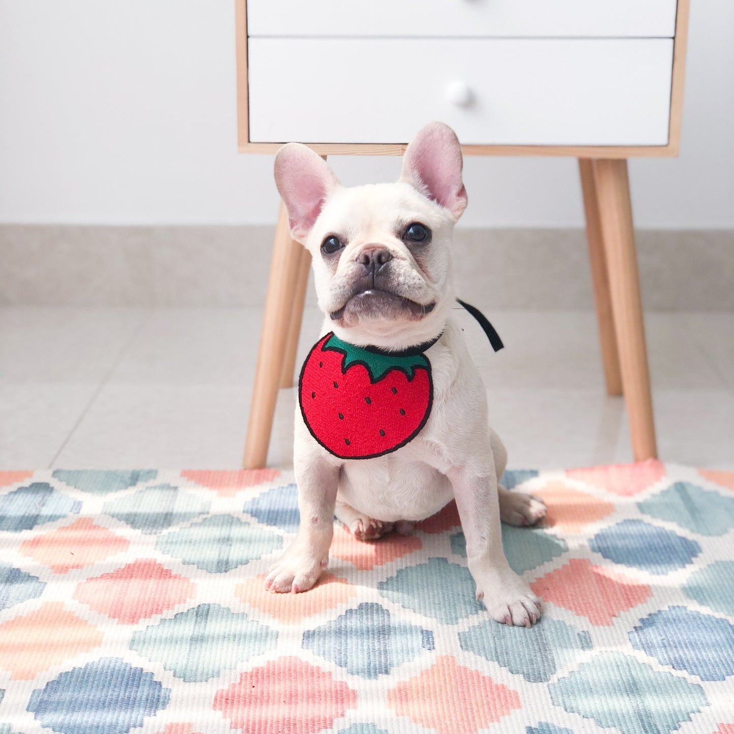 Puppy Scarf Dog Bibs Bandana - Frenchiely