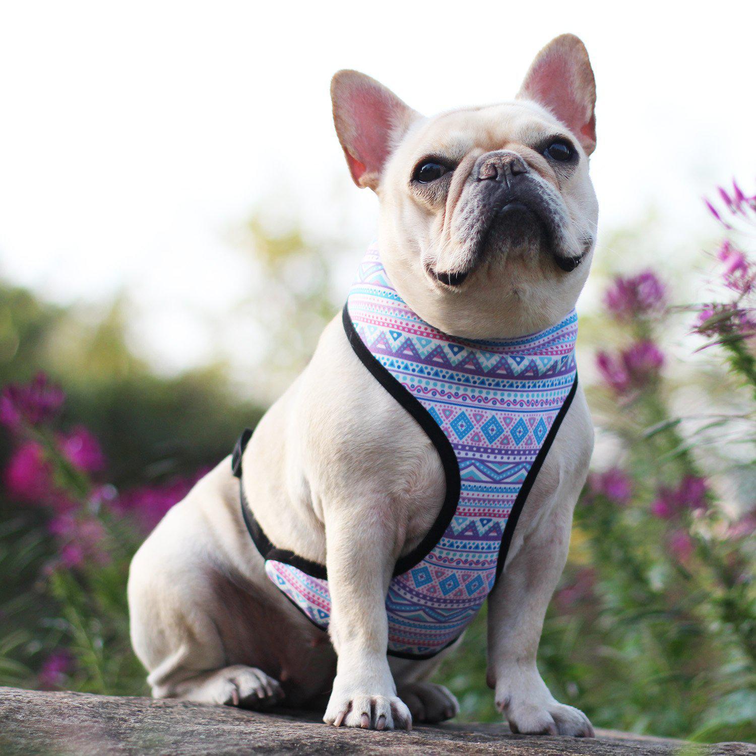 Dog Bohemian Vest Harness for Medium Dogs - Frenchiely