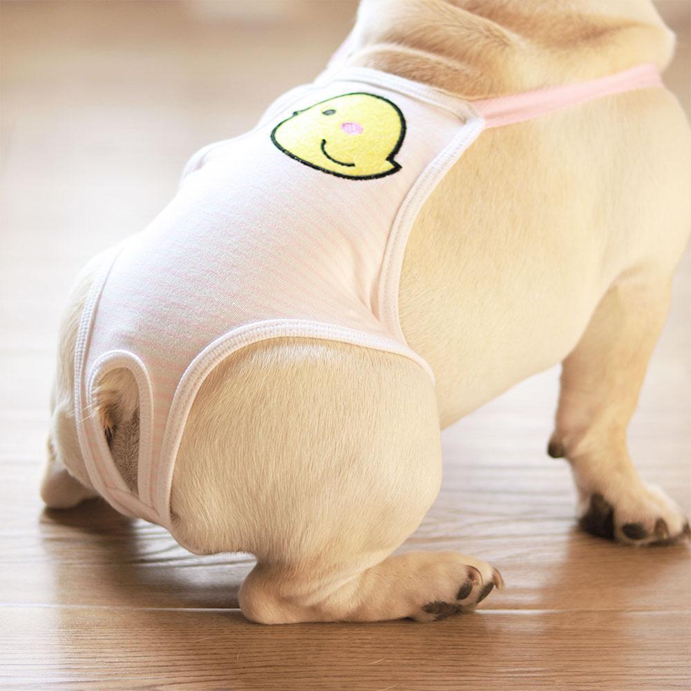 Dog Period Pants with Wings - Frenchiely