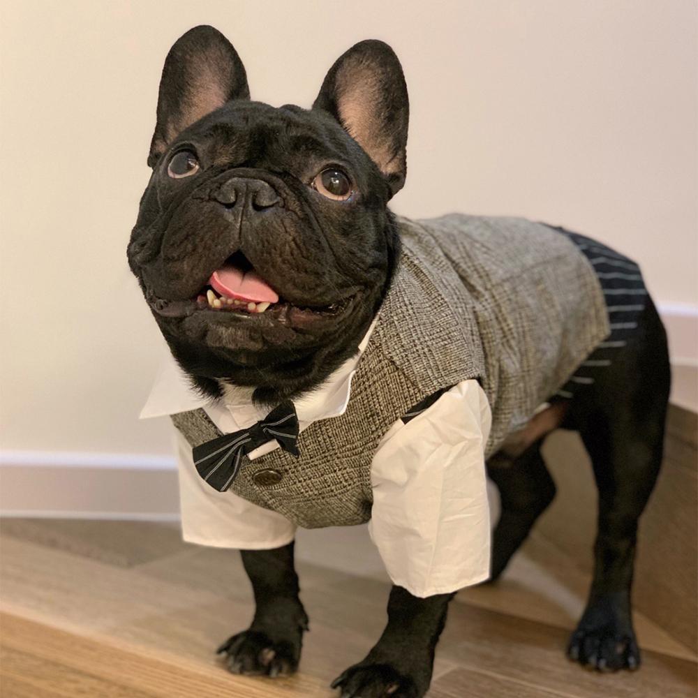 Dog Wedding Khaki Waistcoat Vest for Boy French Bulldogs - Frenchiely