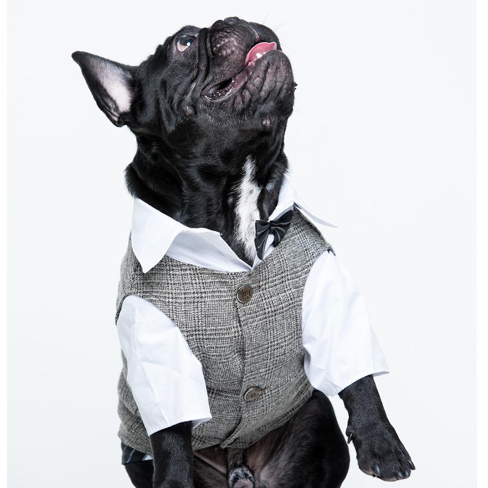 Dog Wedding Khaki Waistcoat Vest for Boy French Bulldogs - Frenchiely