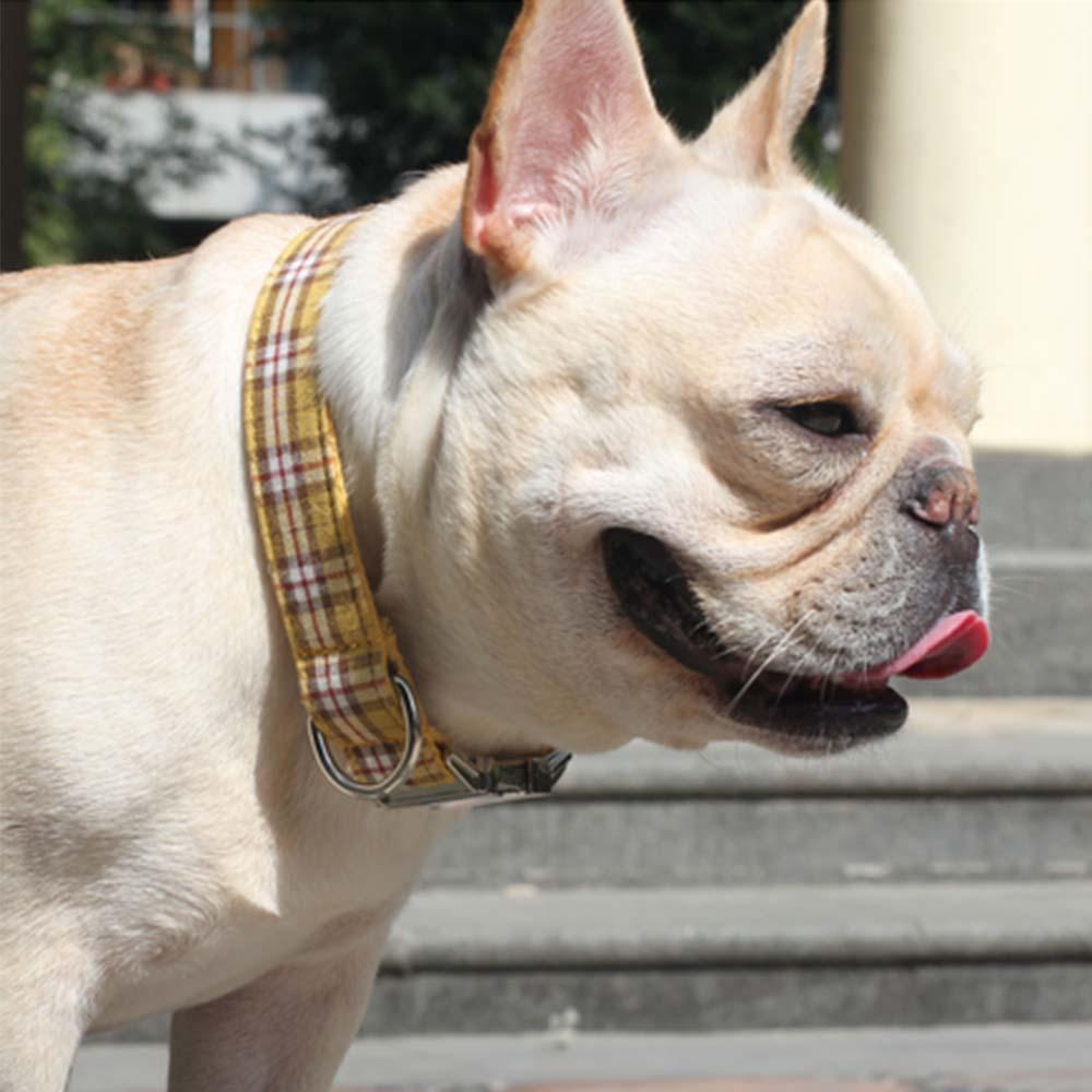 Dog Yellow Plaid Collar for French Bulldog - Frenchiely