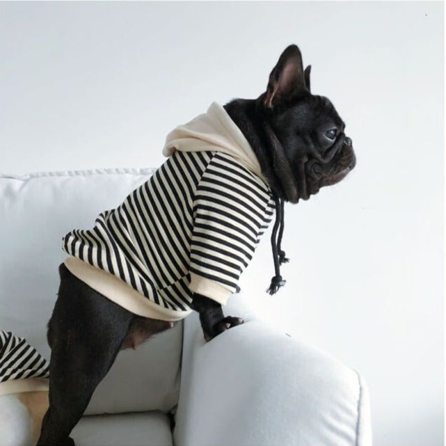Matching Outfits for You and Your Dog - Frenchiely