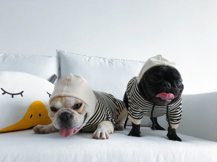 Matching Outfits for You and Your Dog - Frenchiely