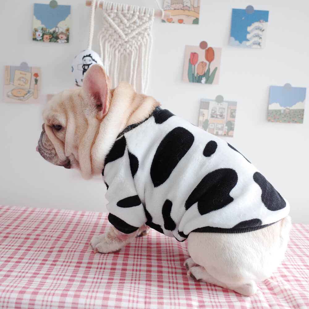 Frenchiely French Bulldog Pullover Shirt for medium dogs 01