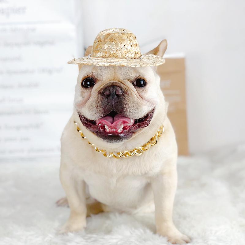 Golden Plastic Dog Chain for French Bulldog - Frenchiely