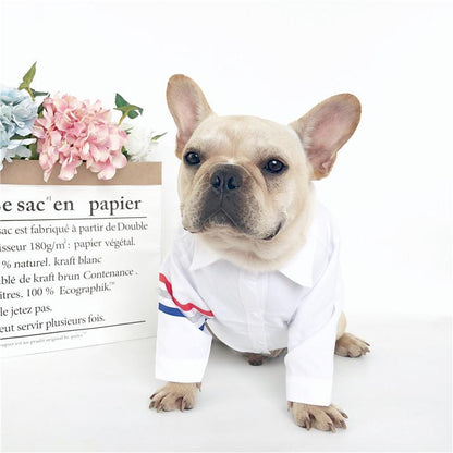 Dog White Shirt Match Formal Suit for Boy Frenchie - Frenchiely