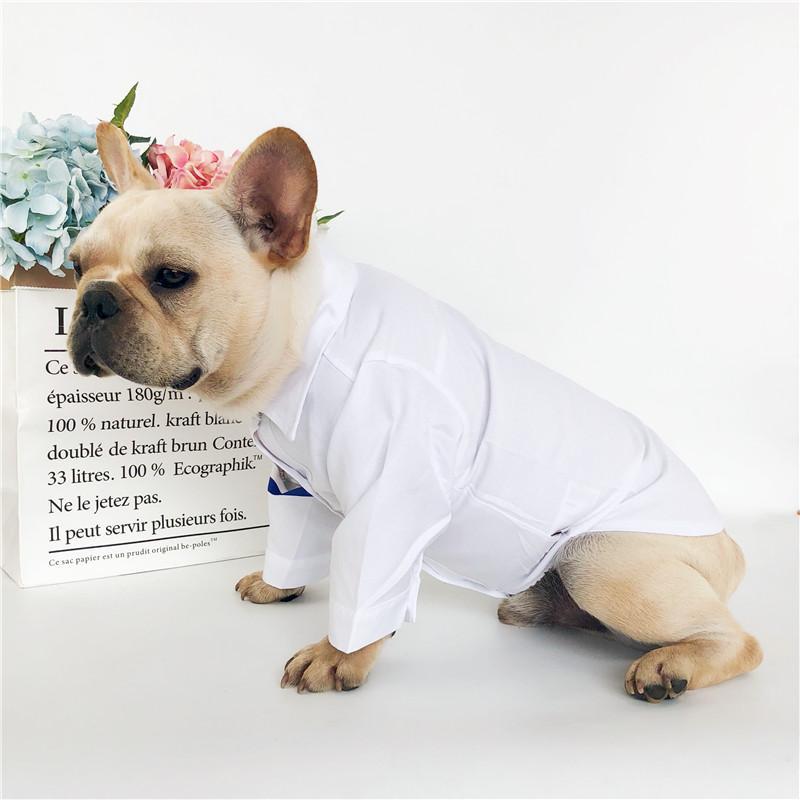 Dog White Shirt Match Formal Suit for Boy Frenchie - Frenchiely