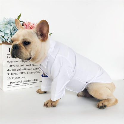 Dog White Shirt Match Formal Suit for Boy Frenchie - Frenchiely