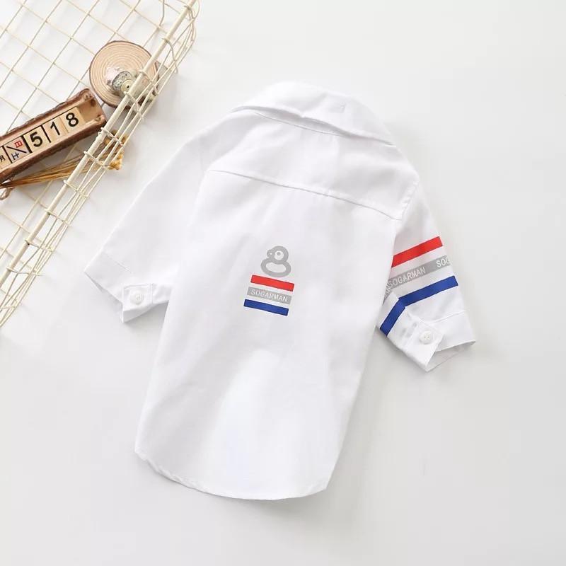 Dog White Shirt Match Formal Suit for Boy Frenchie - Frenchiely