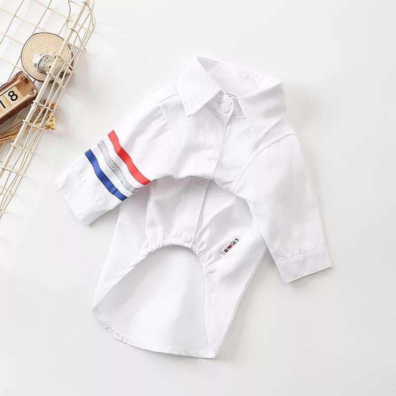 Dog White Shirt Match Formal Suit for Boy Frenchie - Frenchiely