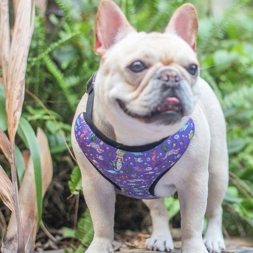 Mermaid dog harness for medium dog - Frenchiely
