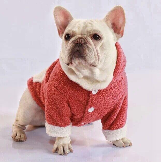 Fluffy Warm Dog Jacket Coat for Frenchies - Frenchiely