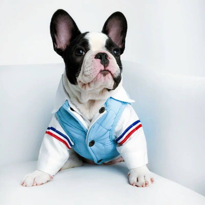 Dog Winter Jacket Vest for Frenchies - Frenchiely