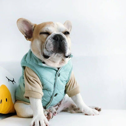 Dog Winter Jacket Vest for Frenchies - Frenchiely