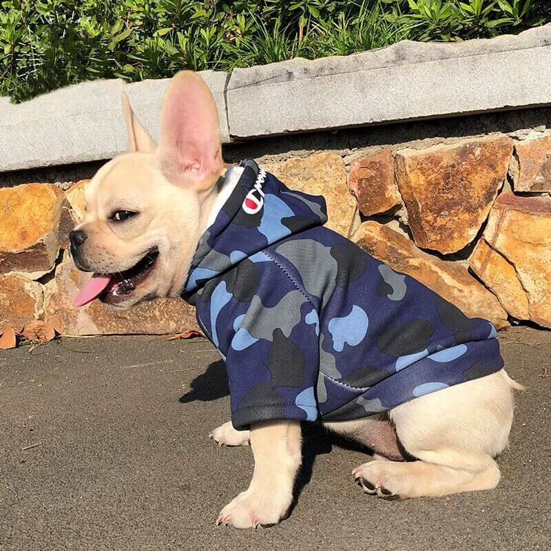 Dog Camo Shark Winter Hoodie for Puppy - Frenchiely