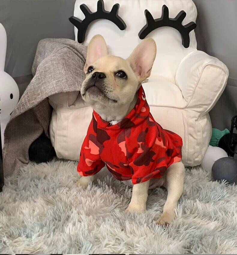 Dog Camo Shark Winter Hoodie for Puppy - Frenchiely