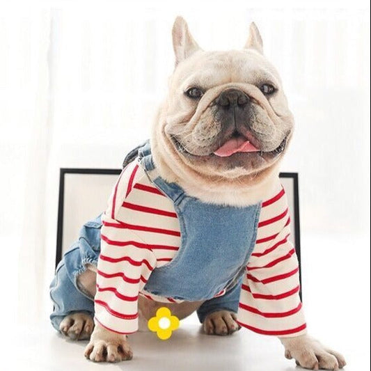 Dog Classic Stripe Shirt QQ_20211117161453_9c042bf7-53ad-4f23-9186-c3d885cd8e7a