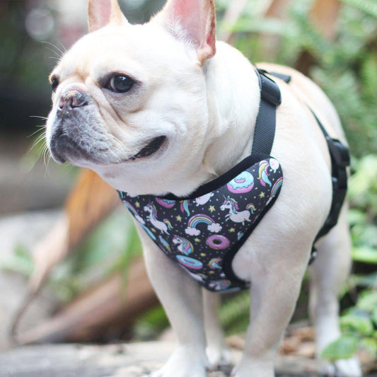 reversible dog harnesses for french bulldogs - Frenchiely