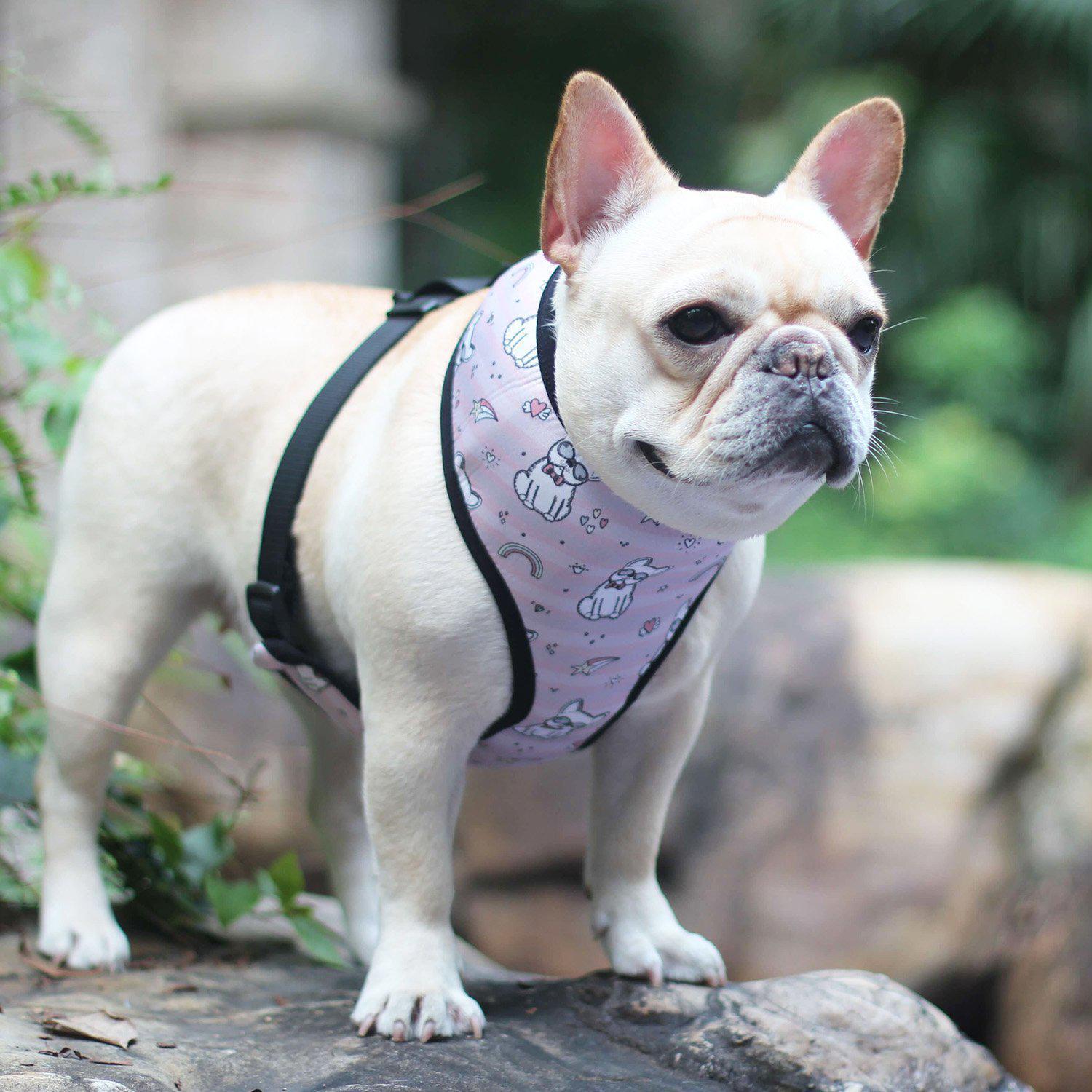 Cartoon French Bulldog Printed Dog Vest Harness - Frenchiely