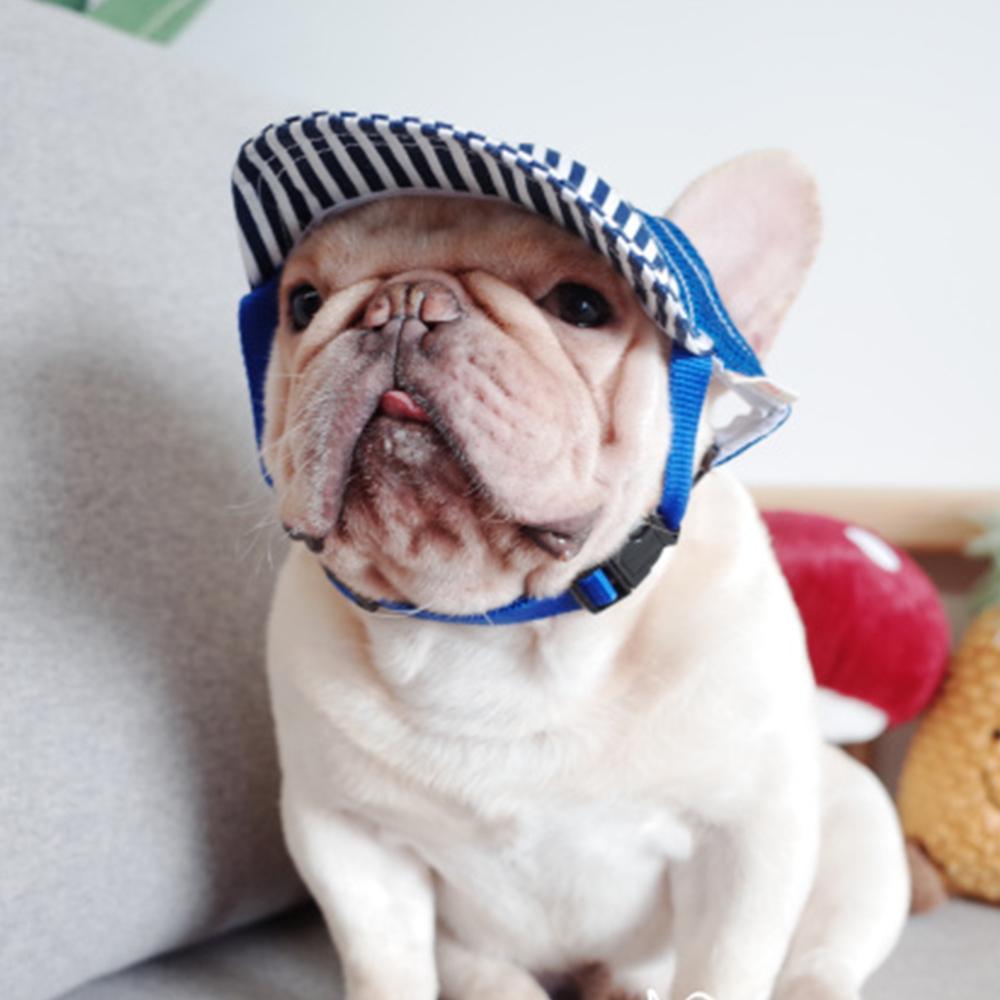 Dog Sunscreen Hat for Medium Dogs - Frenchiely