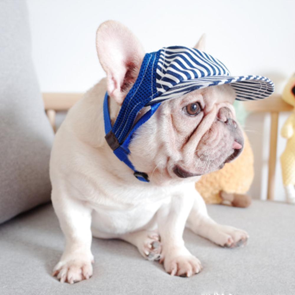 Dog Sunscreen Hat for Medium Dogs - Frenchiely