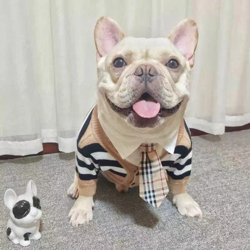 Dog Striped Cardigan with Necktie - Frenchiely