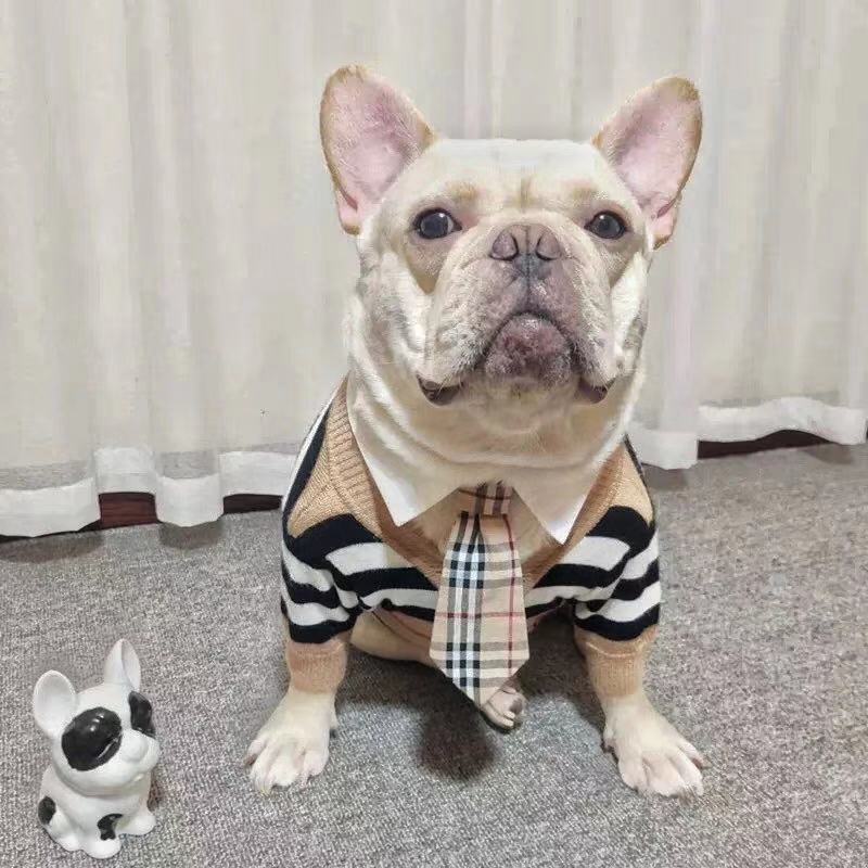 Dog Striped Cardigan with Necktie - Frenchiely