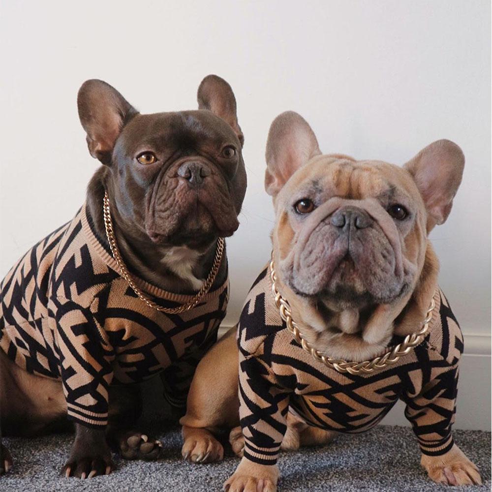 Stylish Zebra French Bulldog Sweaters - Frenchiely
