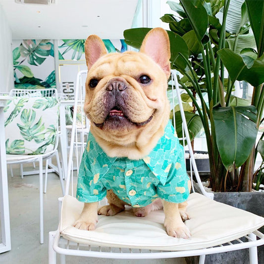 Dog Green Hawaii tshirts for French Bulldogs - Frenchiely
