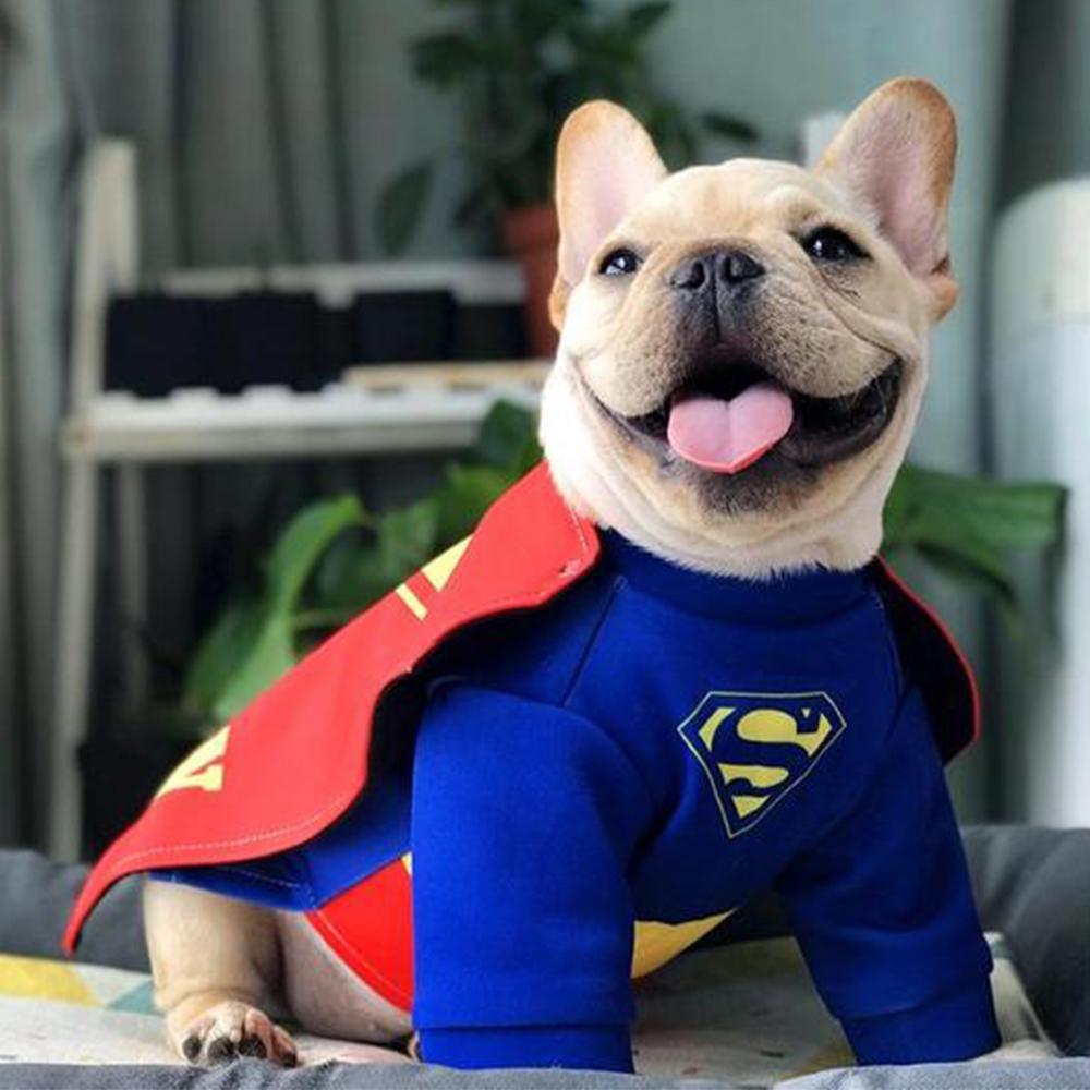 Dog Superman Cosplay Costumes For French Bulldog - Frenchiely