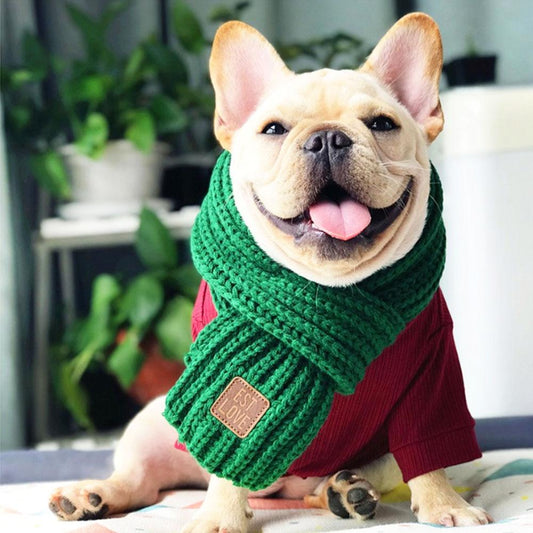 Warm Knitted Scarf Green Unique_Universal_Designed_for_French_Bulldogs_02