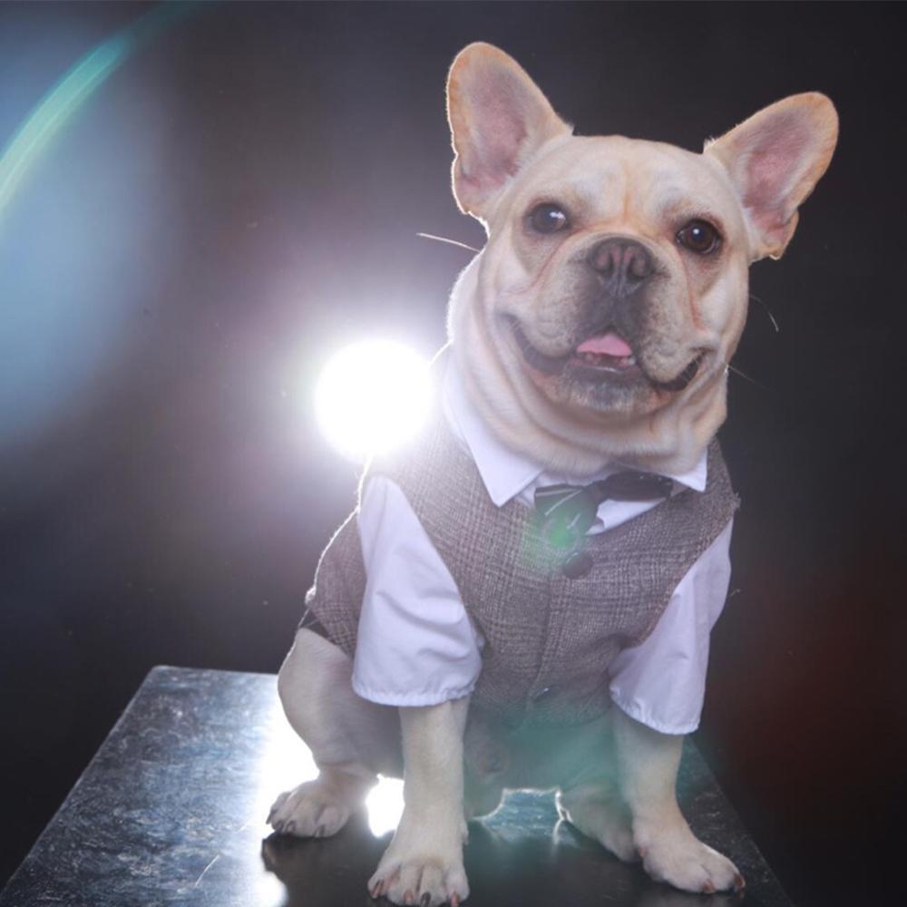 Dog Wedding Khaki Waistcoat Vest for Boy French Bulldogs - Frenchiely