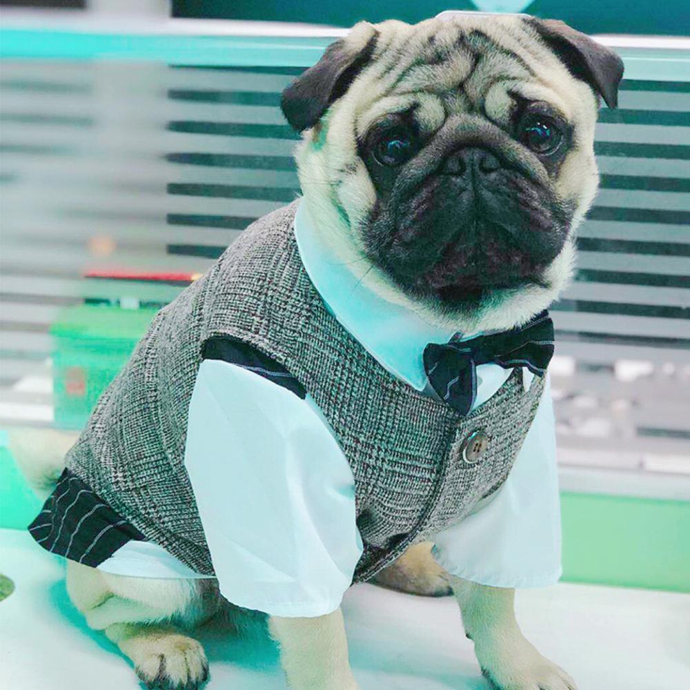 Dog Wedding Khaki Waistcoat Vest for Boy French Bulldogs - Frenchiely