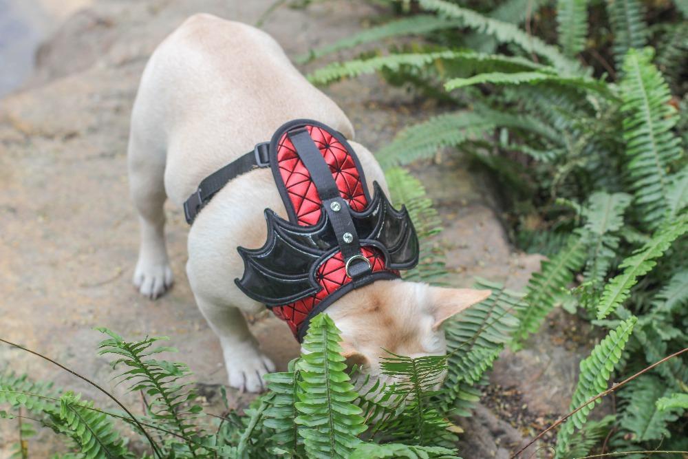 Dog Batman Harness Vest for Small Dogs - Frenchiely