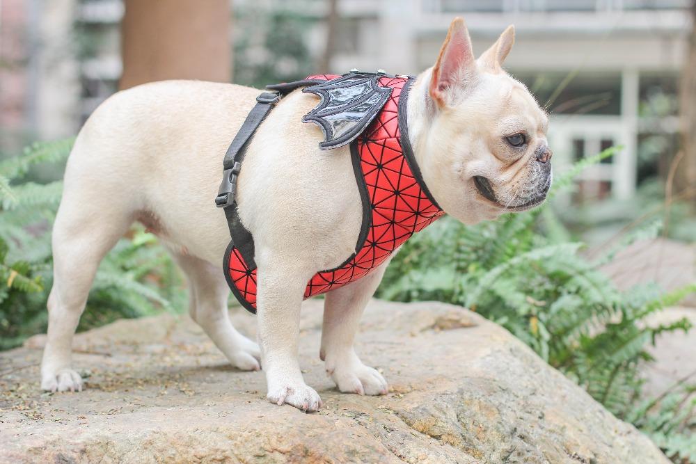 Dog Batman Harness Vest for Small Dogs - Frenchiely