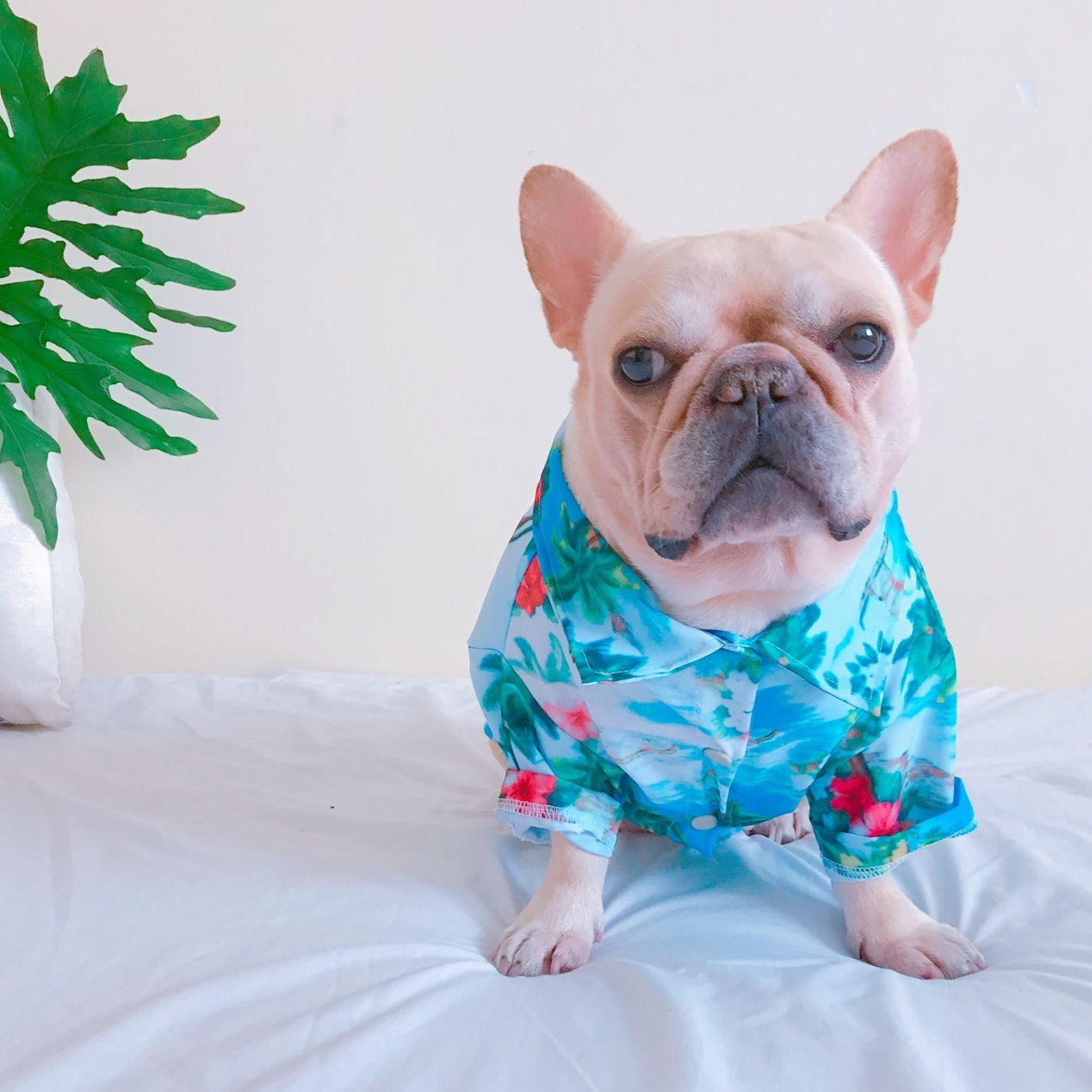 Dog Hawaiian islands Shirt - Frenchiely