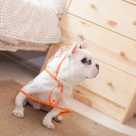 Clear Rain Coat Jackets for Medium Dogs - Frenchiely