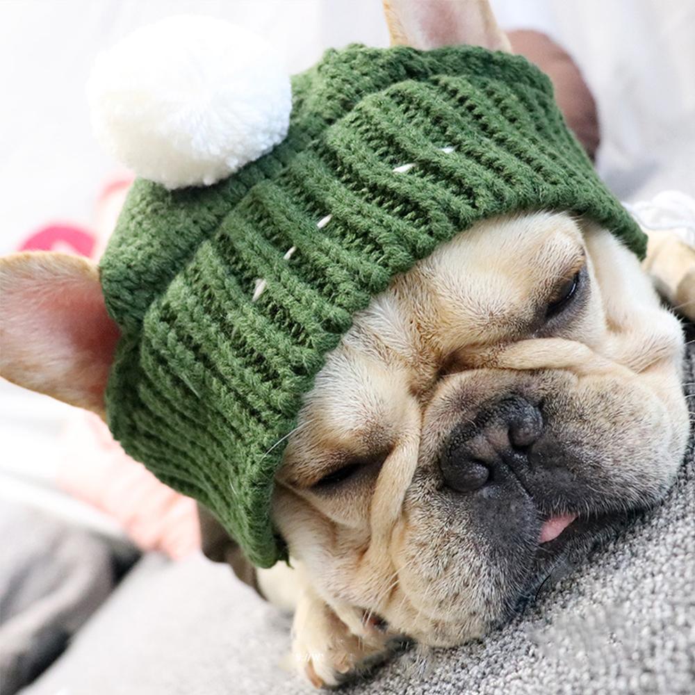 Dog Knitted Snood Hat for French Bulldogs - Frenchiely