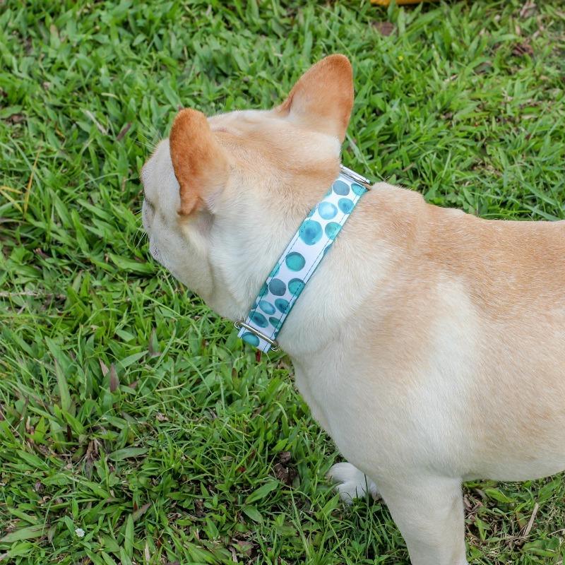 Light Blue Bubble Dog Collar for Small Dogs - Frenchiely