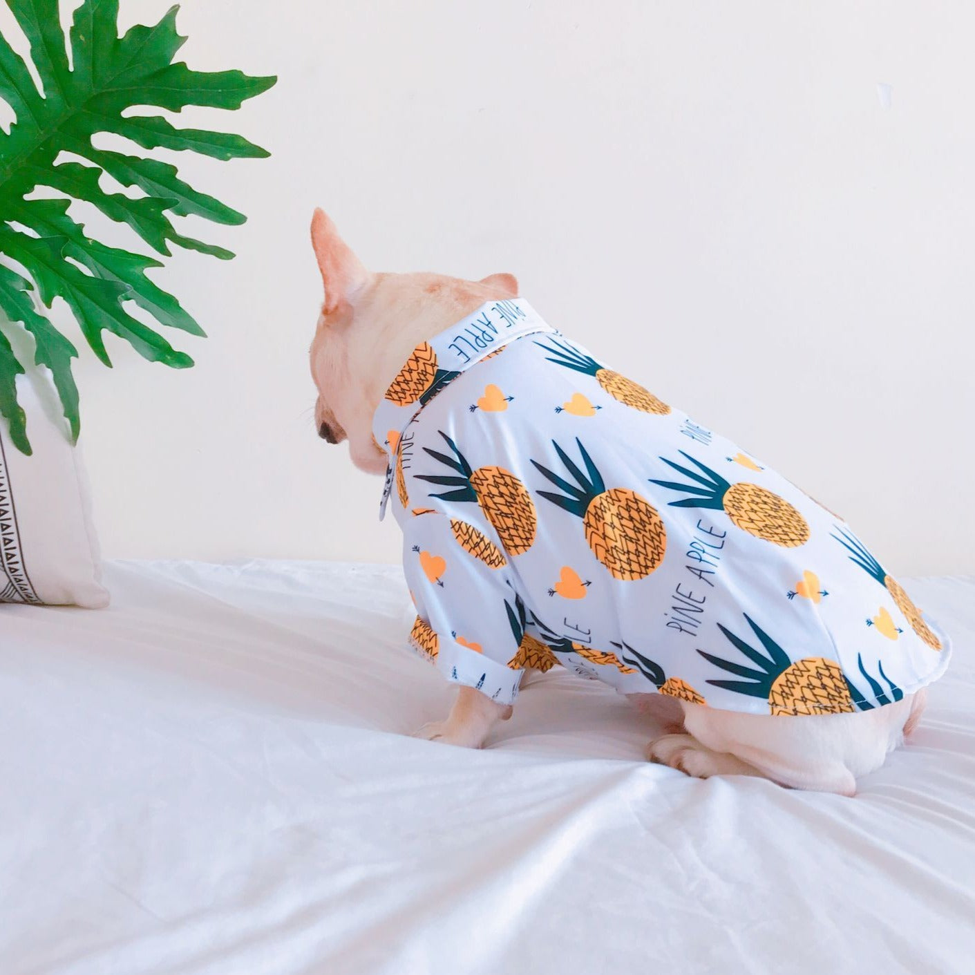 Pineapple Hawaiian Collared Dog Shirts - Frenchiely