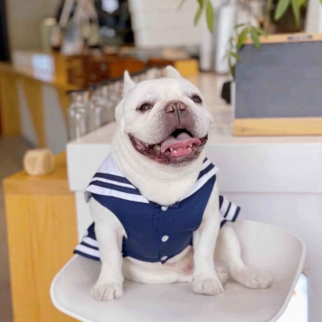 Dog Navy Blue Dress for Small Medium Dogs | Worldwide Shipping Frenchiely Dog Navy Blue Dress for Small Medium Dogs | Worldwide Shipping Frenchiely