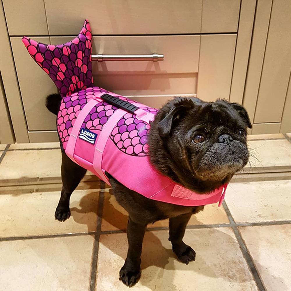 french bulldog life vest jacket with shark fin - Frenchiely
