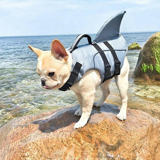 french bulldog life vest jacket with shark fin - Frenchiely